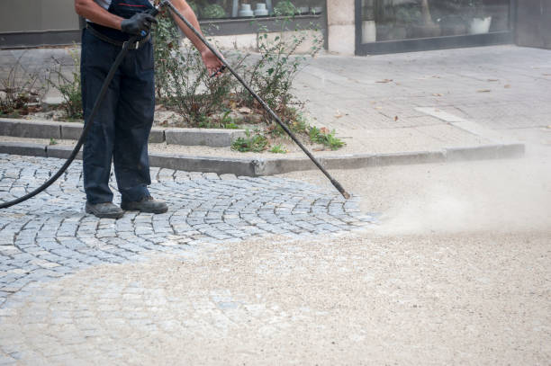 Best Concrete Sealing  in North Alamo, TX